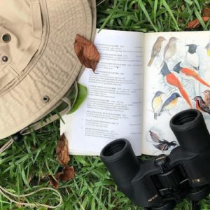 A book about birdwatchig, a Binocular and a Hat.