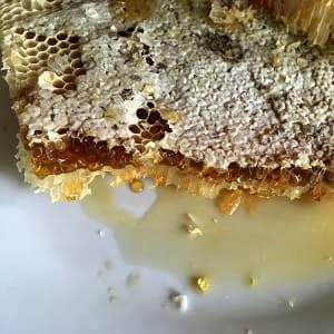 Honey Comb