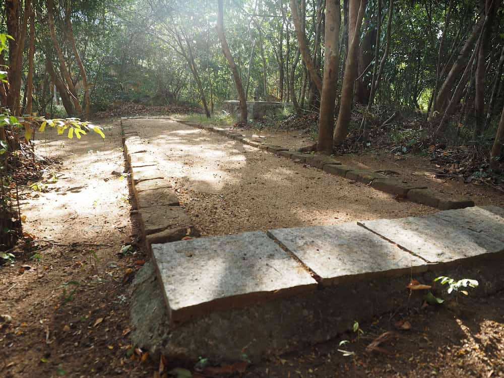 Walk Meditating area